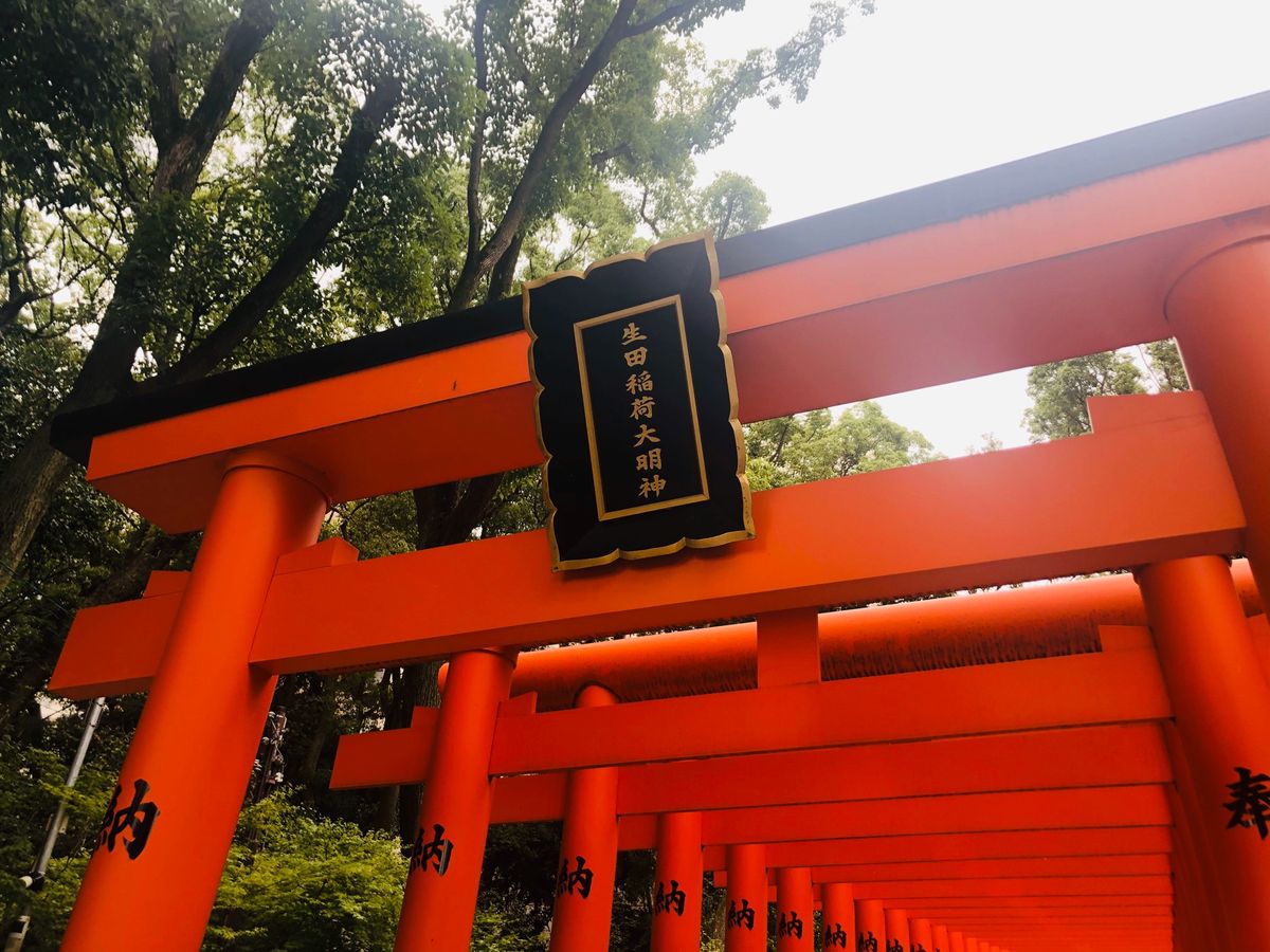 生田神社⛩
藤原紀香と陣内智則の結婚式はここで行ったとか。
地元民にはとて...