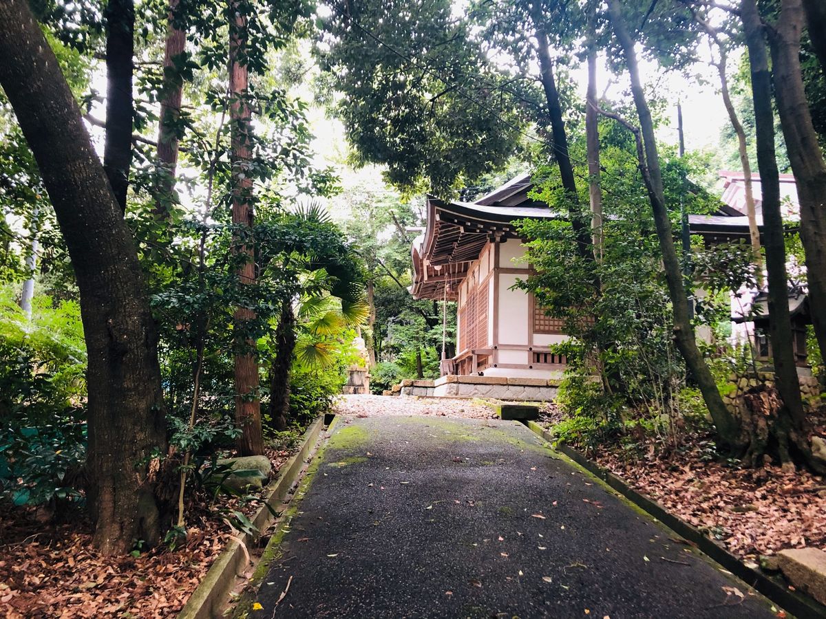 皇太神社3⛩
すごい蚊に刺された…