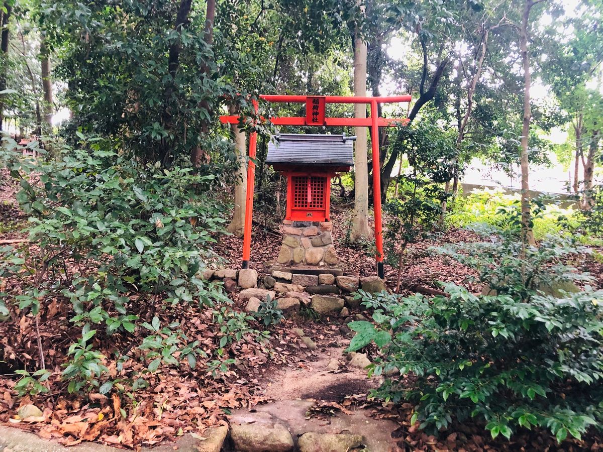 皇太神社3⛩
すごい蚊に刺された…