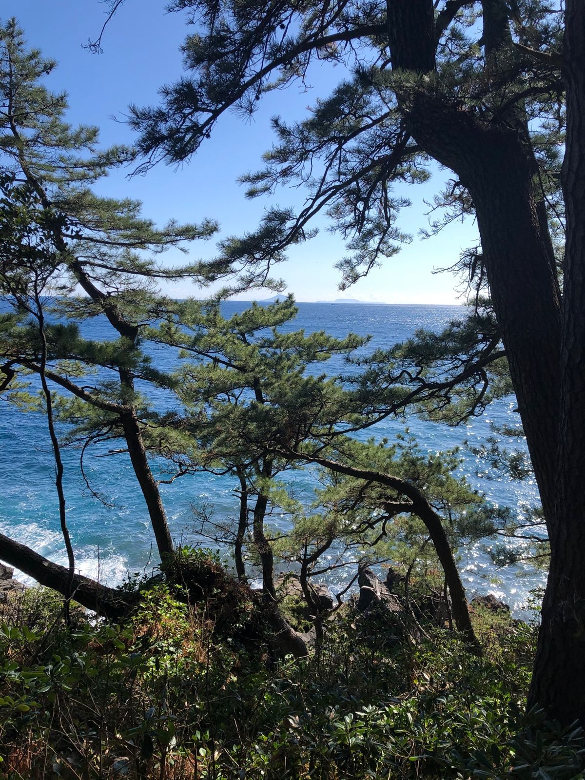 海沿いハイキング