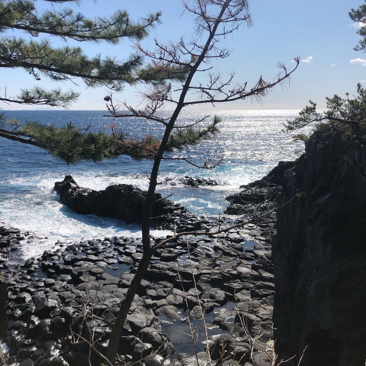 海沿いハイキング