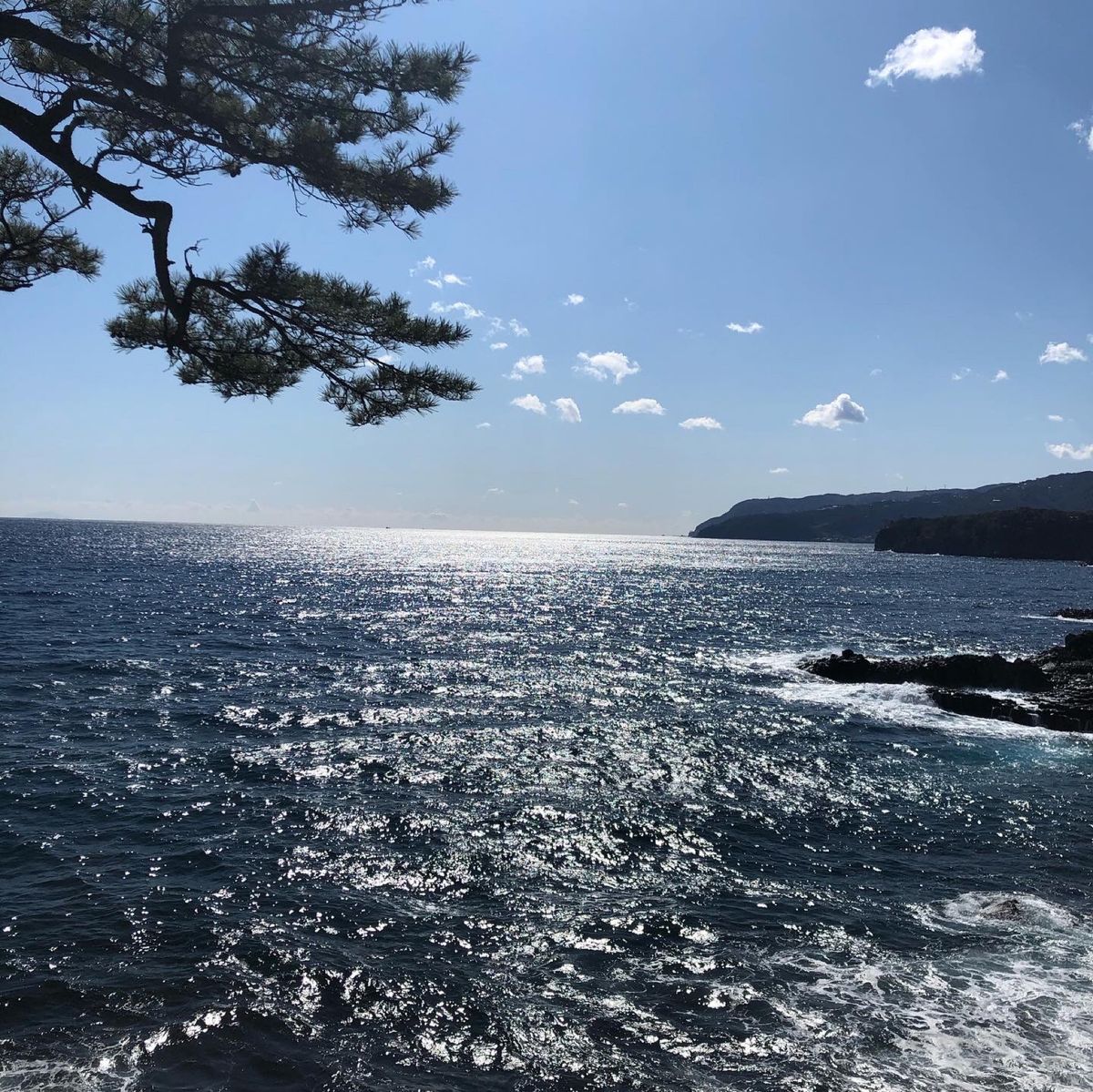 海沿いハイキング