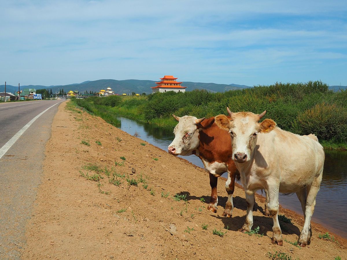 ウランウデ　イヴォルギンスキー・ダツァン
ロシアにおけるチベット仏教の総本...