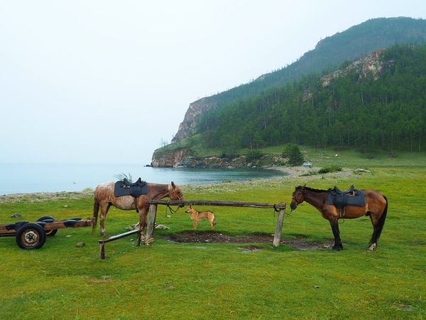 ロシア連邦・サハリン「シベリア弾丸旅行　サハリンからバイカル湖まで」の写真：バイカル湖　オリホン島周遊ツアー
ホテル...