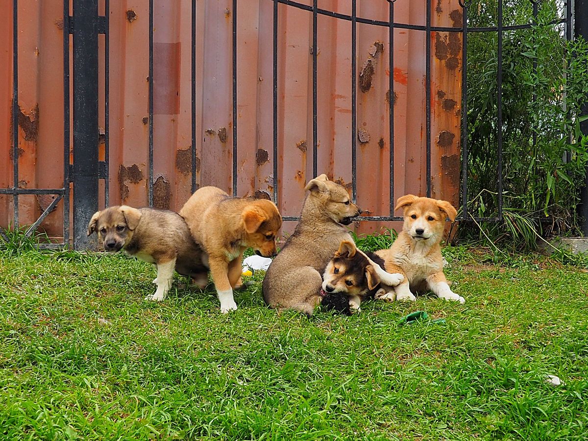 ユジノサハリンスク
この街は特に有名な観光名所があるわけではないけど、とに...