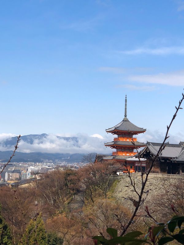 日本「京都　家族旅行」の写真：景色