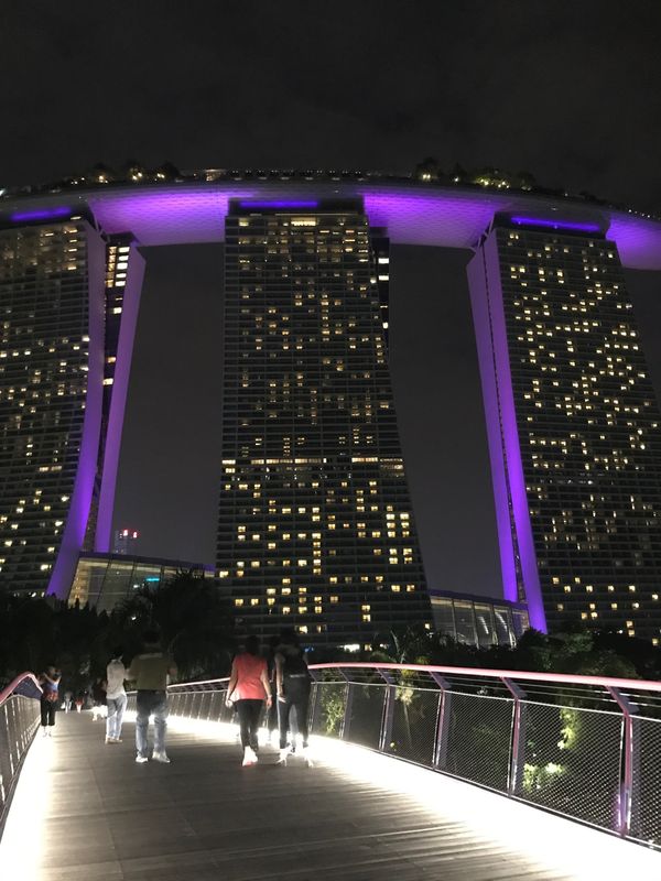 シンガポール「誕生日旅行🇸🇬シンガポール」の写真