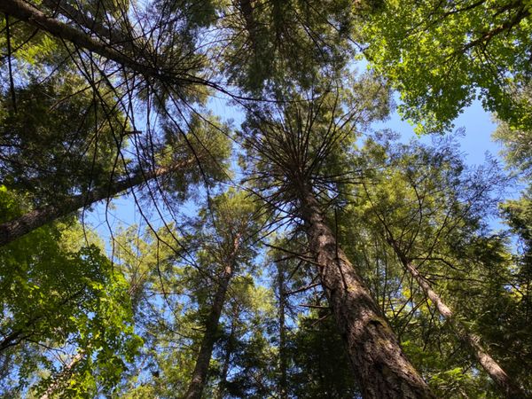 カナダ「Victoria」の写真