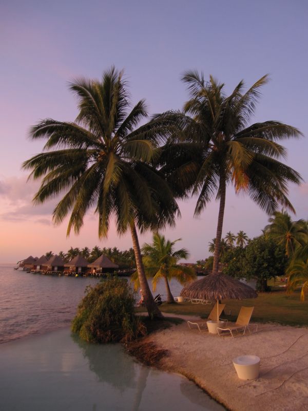 仏領ポリネシア・パペーテ「タヒチ」の写真：パペーテは少し賑やかで、昼間はショッピン...