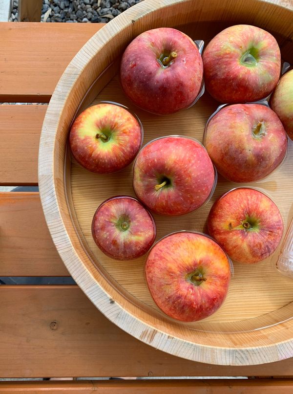 日本・長野県「2019 Nagano」の写真