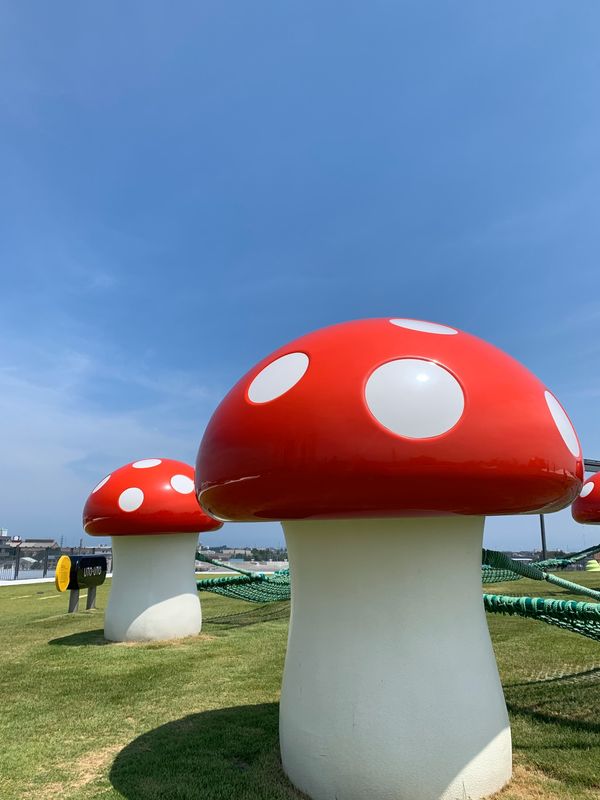 日本・金沢「2019 Toyama〜Ishikawa」の写真