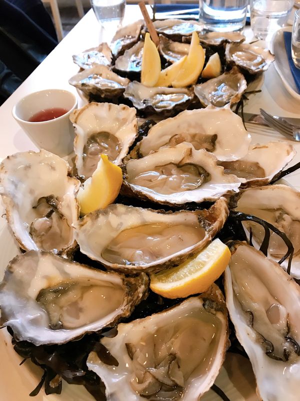 イギリス(英国)・ロンドン「英国　2019年11月」の写真：RichmondとPutneyで打ち合わせ