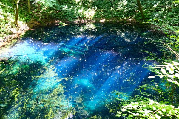 日本・秋田「東北2020」の写真：白神山地の青池。
バヌアツのブルーホール...