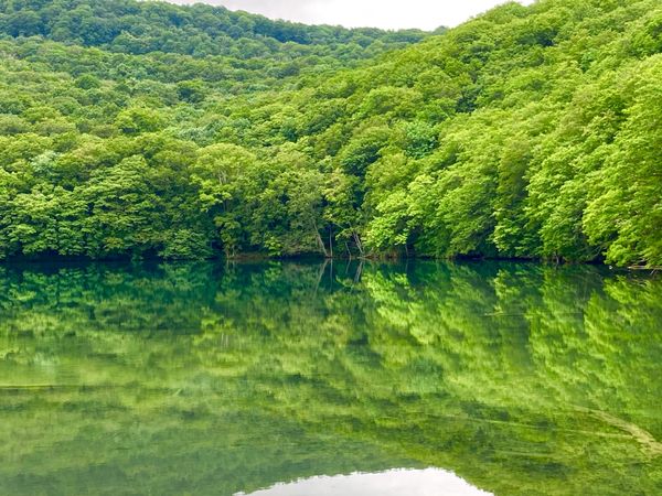 日本・秋田「東北2020」の写真：紅葉の時期は観光客も多いようです