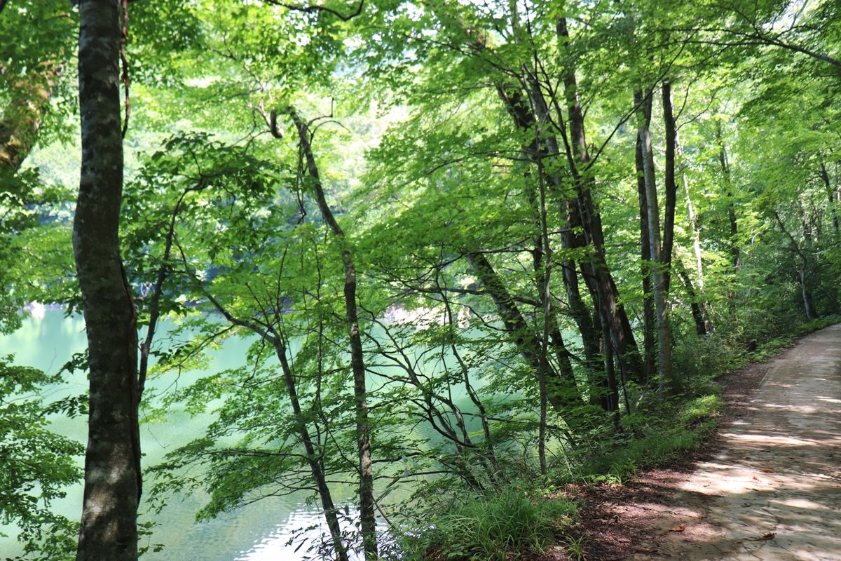白神山地の十二湖の、、どれか忘れちゃった