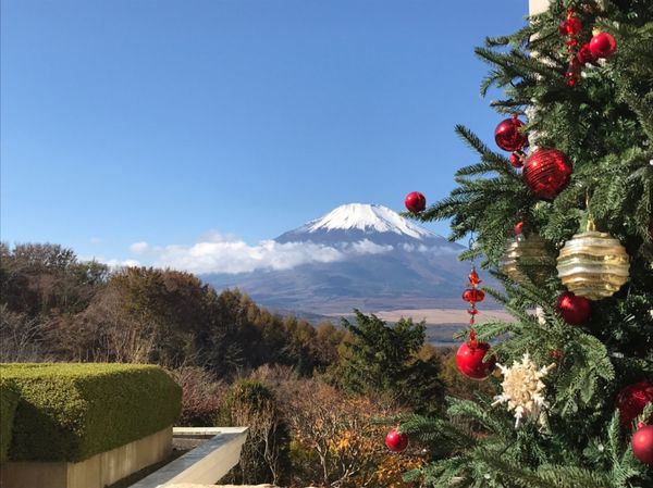 日本・伊豆「伊豆」の写真