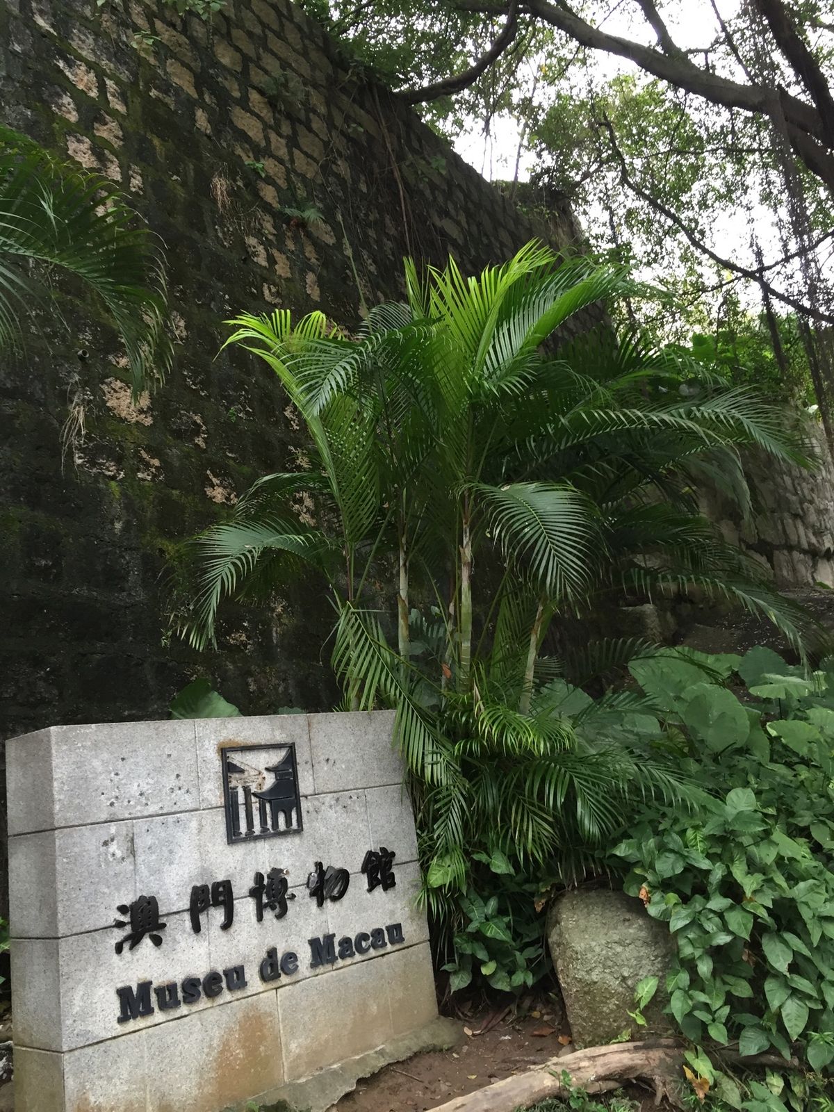 エッグタルト食べながら市内観光して、カジノも覗いてきました✨