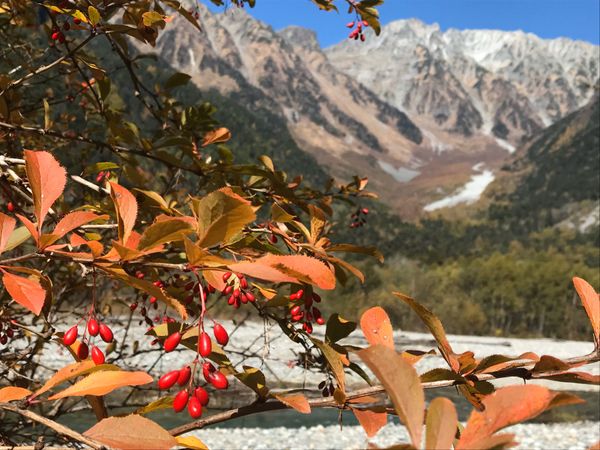 日本・長野県「上高地」の写真