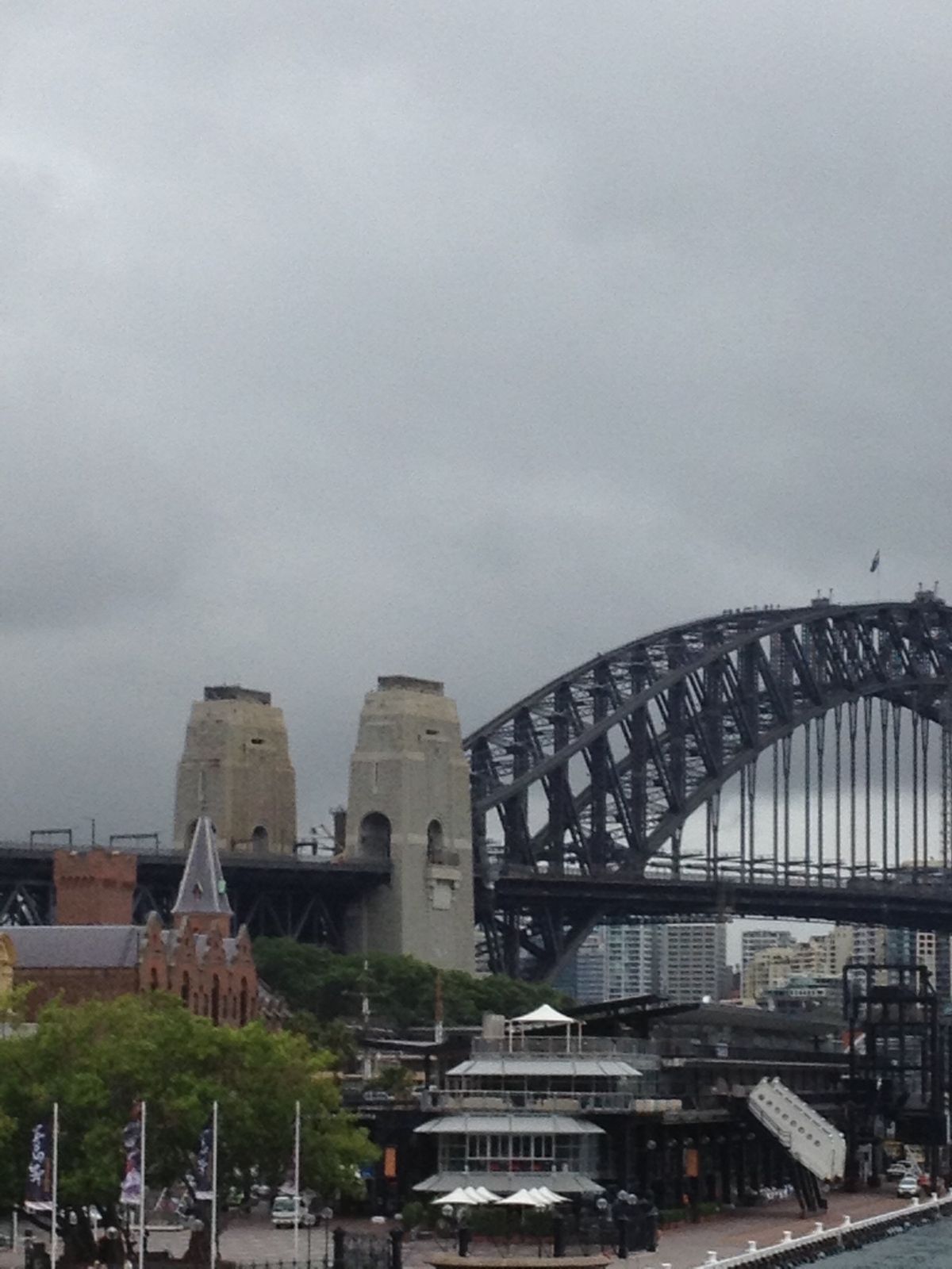 オペラハウスもボンダイビーチもすごい曇ってるけど、フィッシュマーケットは綺...