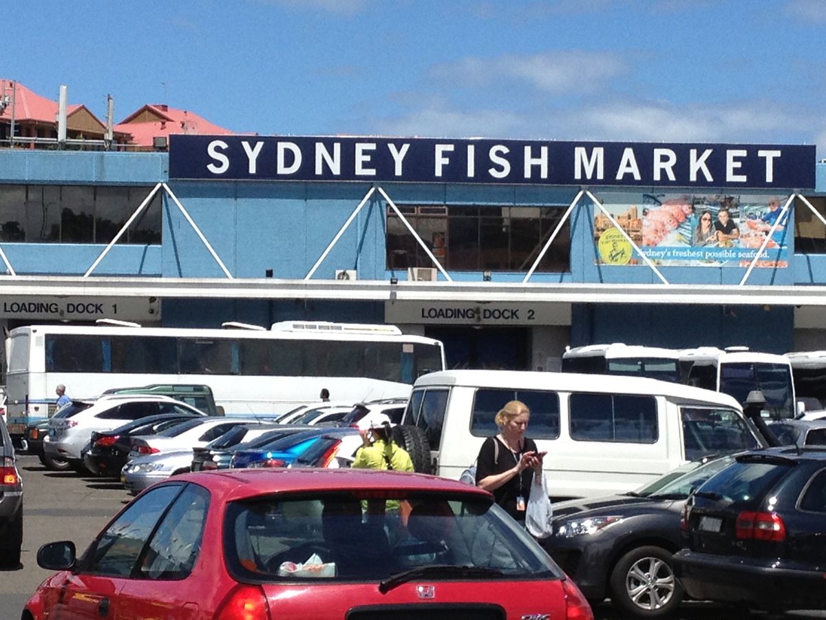 オペラハウスもボンダイビーチもすごい曇ってるけど、フィッシュマーケットは綺...