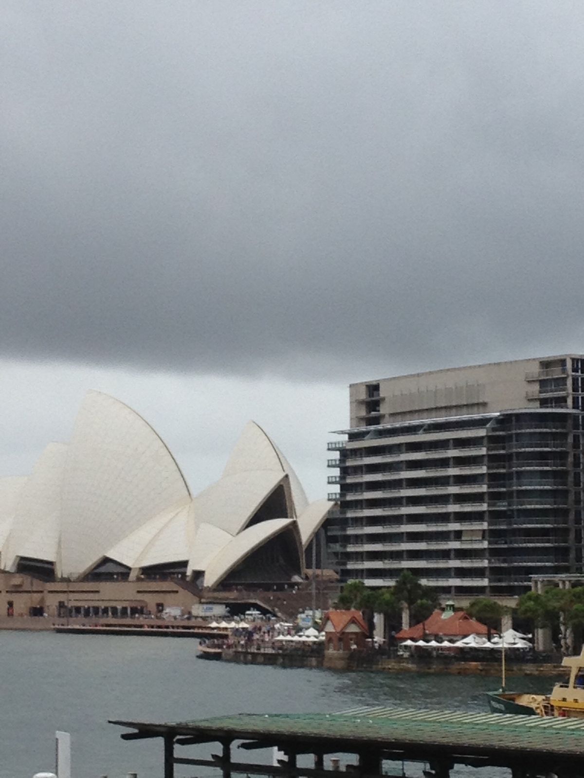 オペラハウスもボンダイビーチもすごい曇ってるけど、フィッシュマーケットは綺...