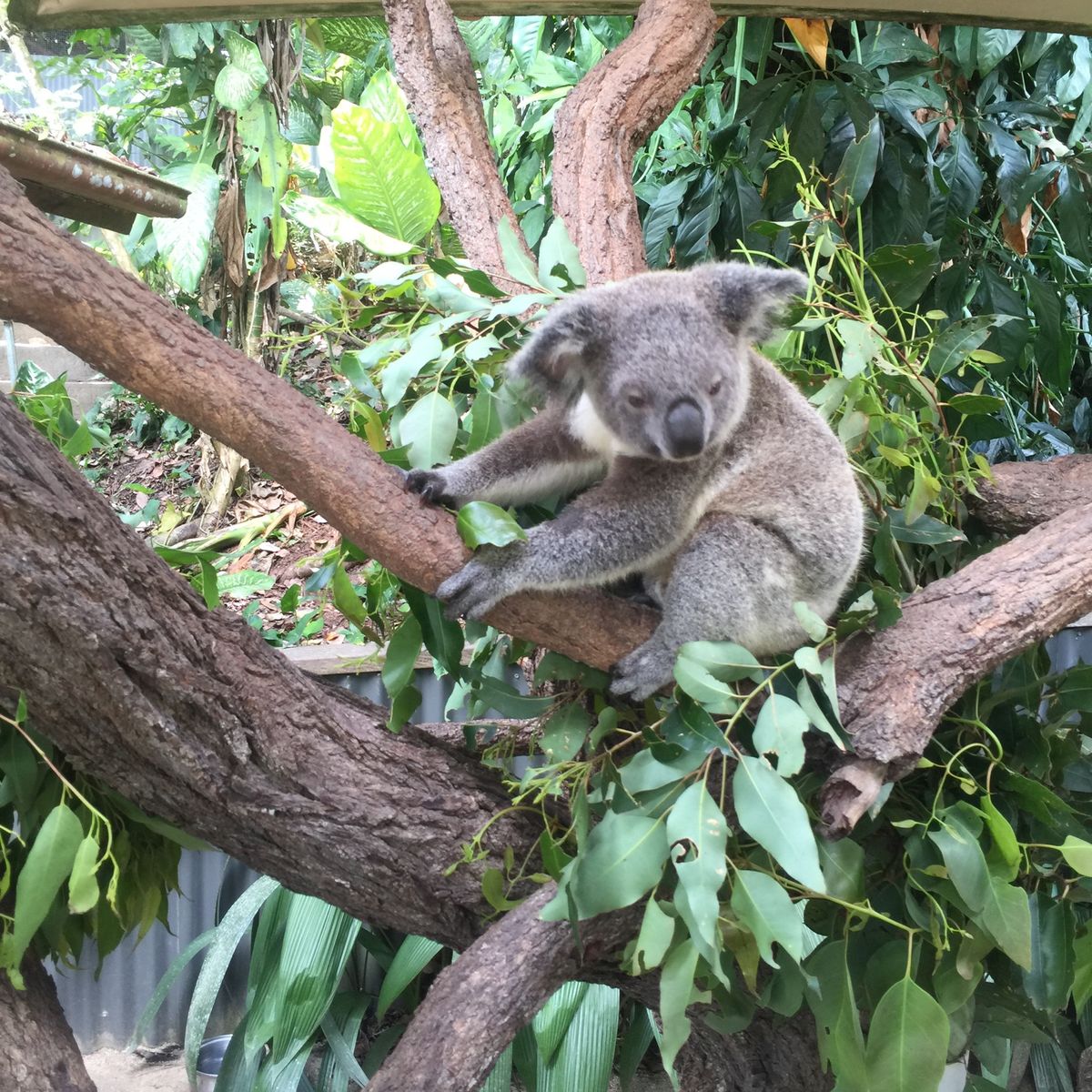美しい自然の多い最高の場所！