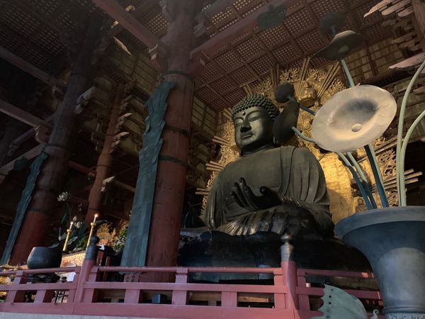 日本「奈良京都🗿」の写真