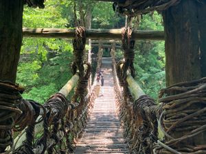 祖谷のかずら橋、柏島、桂浜