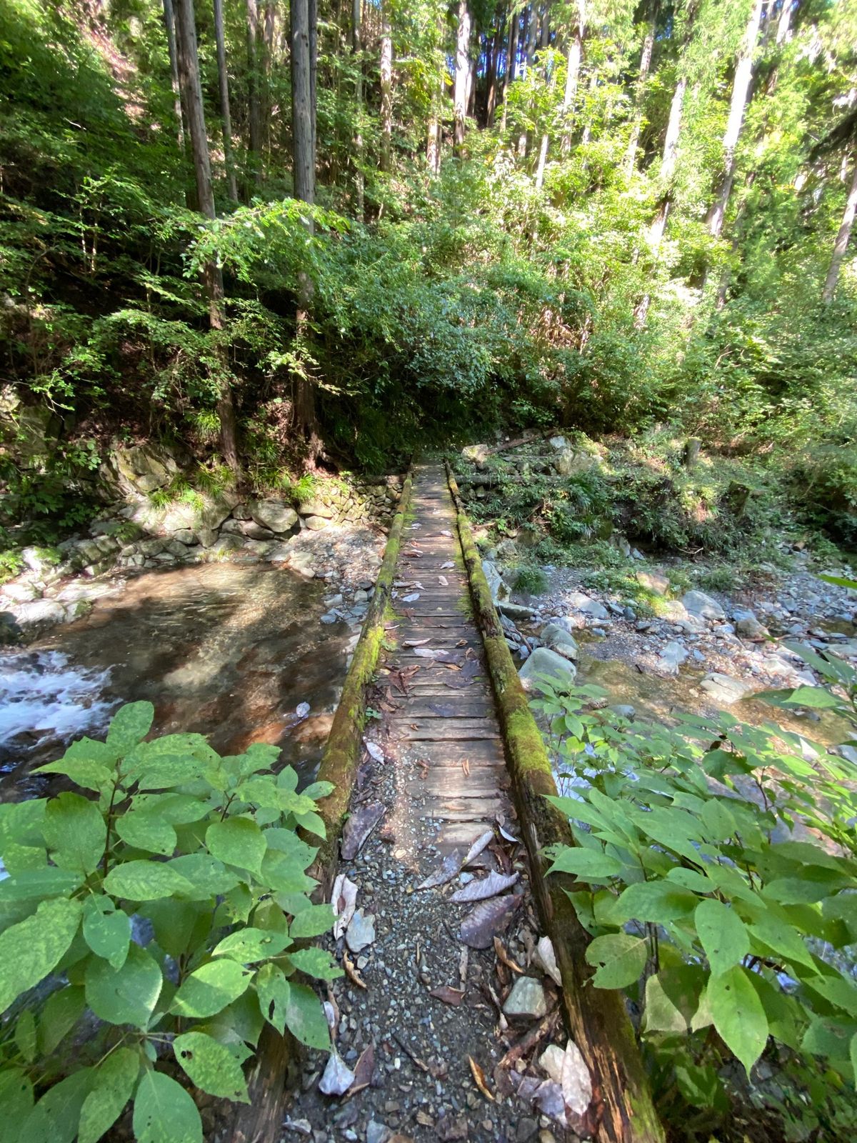 九頭龍の滝

涼しい風がとても気持ちいい

こういう滝がこの辺りはたくさん...