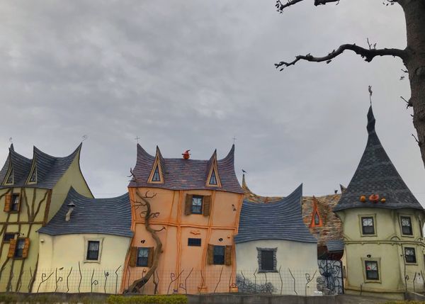 日本・静岡県「2019 Shizuoka」の写真