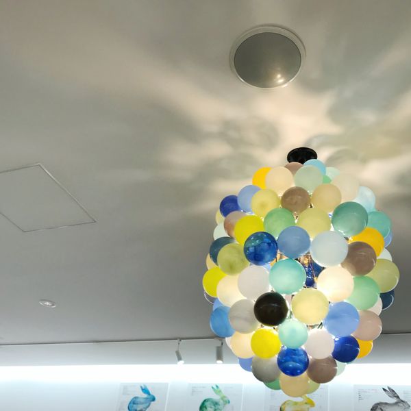 日本・静岡県「2019 Shizuoka」の写真