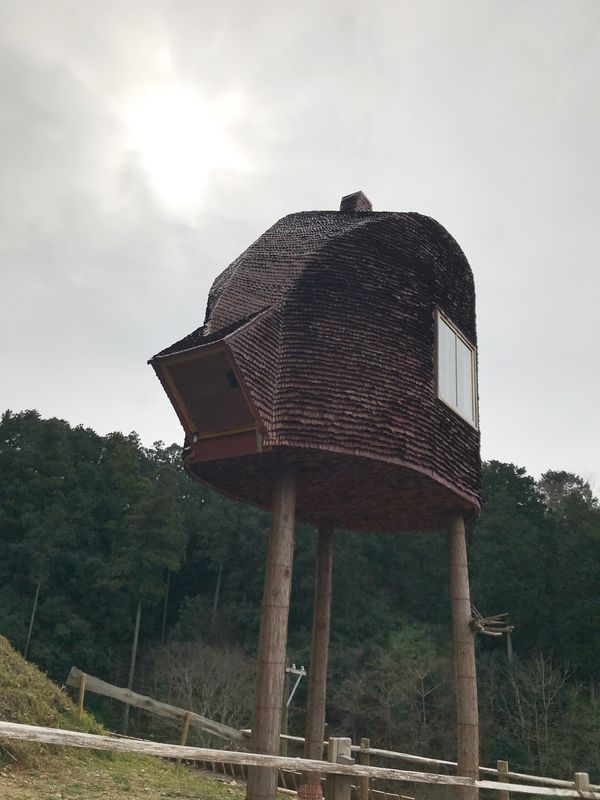 日本・静岡県「2019 Shizuoka」の写真