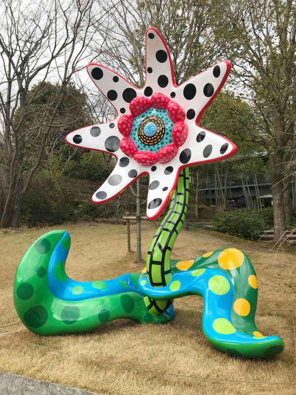 日本・静岡県「2019 Shizuoka」の写真