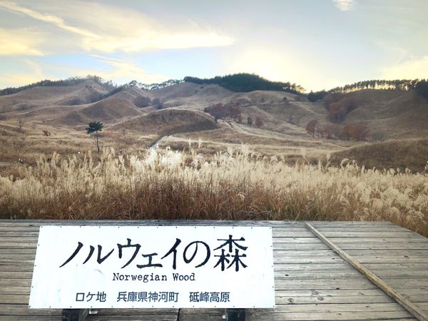 日本・姫路「2018 Hyogo」の写真