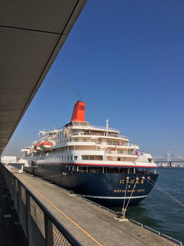 日本・にっぽん丸「にっぽん丸⛴」の写真：苺がいっぱい🍓