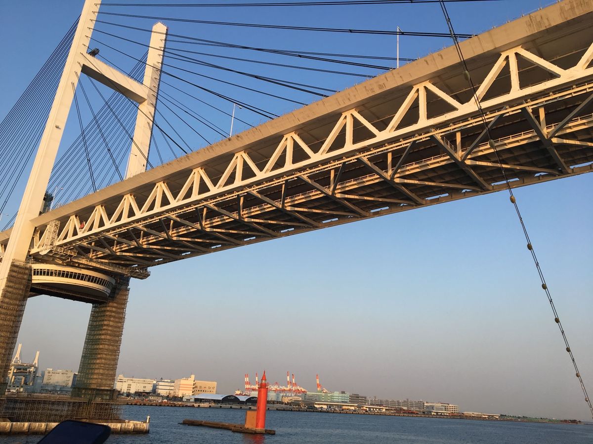 苺がいっぱい🍓