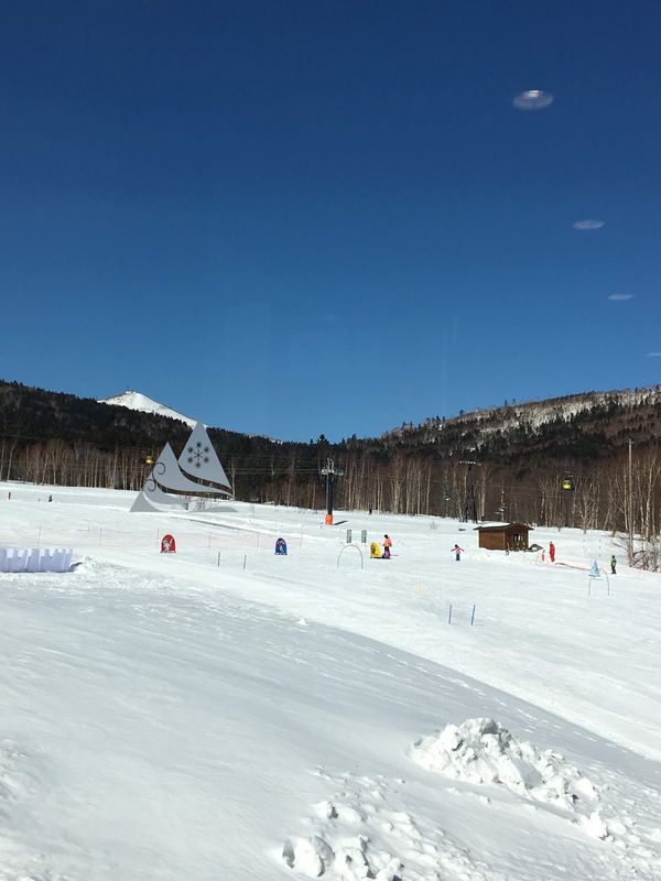 日本・北海道「北海道☃️」の写真：パウダースノーでボードしたり夜はダンスし...