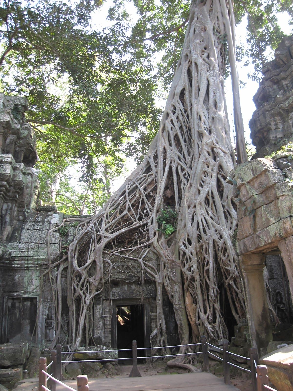 少し修復工事中だったけど全部覆われてなくてよかった。
1番良いなぁと思った...