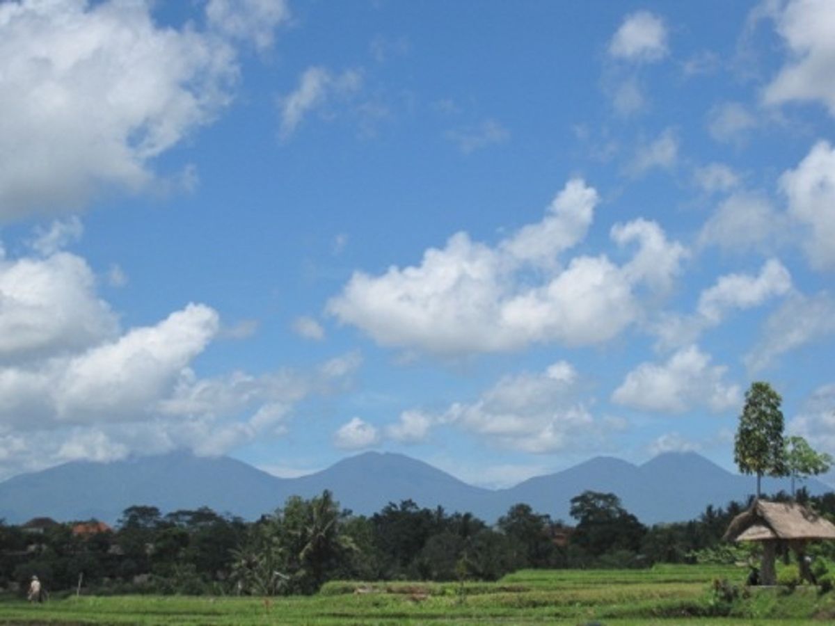 バリ島ウブドの散歩道。2時間半かけて田園をお散歩。大きいトカゲ🦎出たりして...