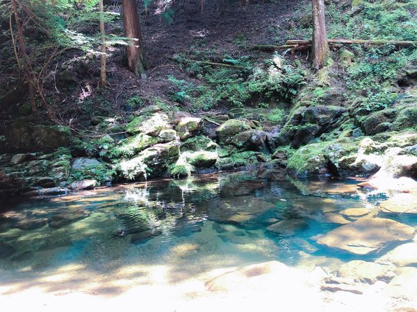日本・三重県「シリーズ・三重　名張。」の写真：赤目四十八滝