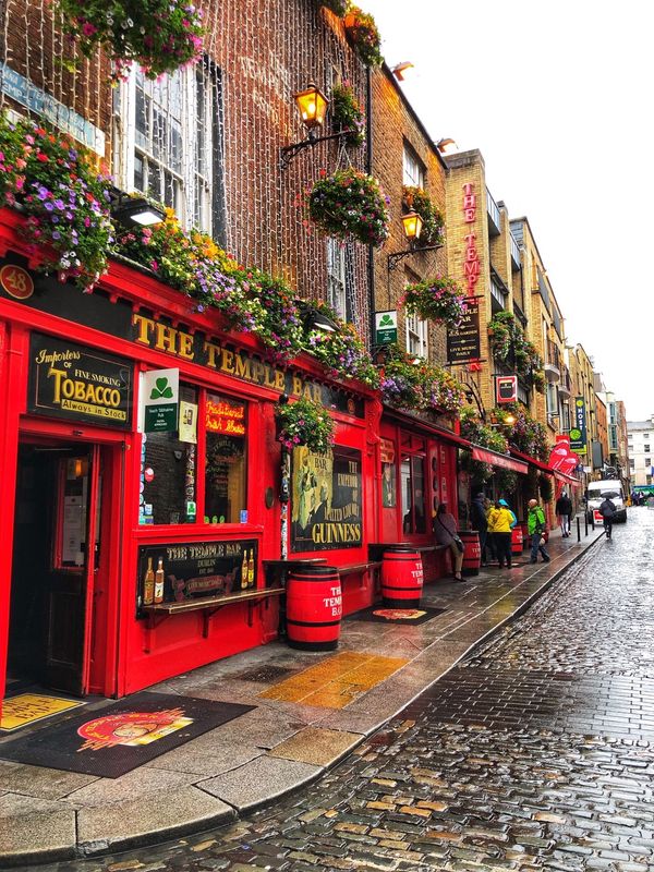 アイルランド・ウィックロー「ワーキングホリデー記録〜アイルランド編〜」の写真：ダブリン　Part2