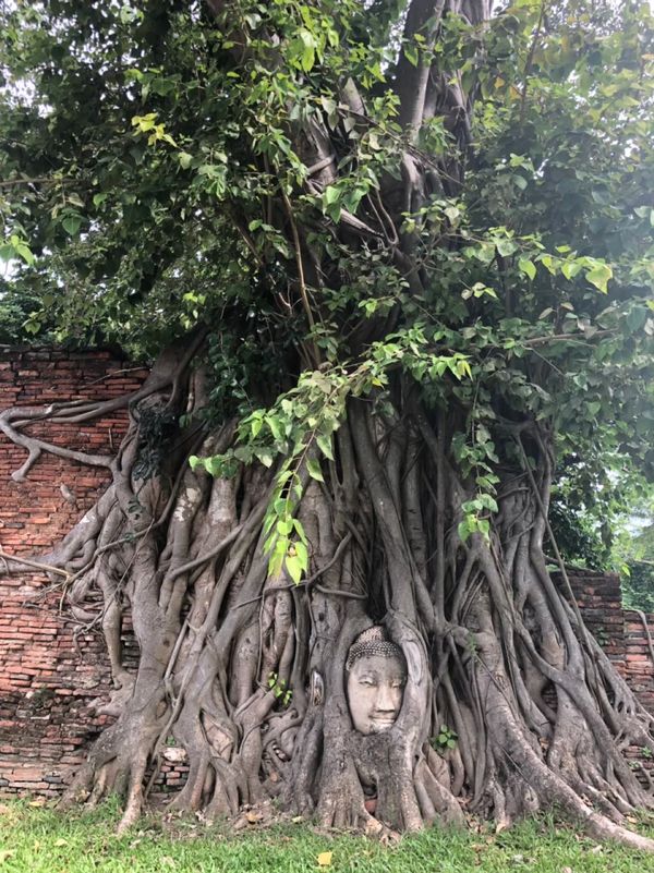 タイ・「バンコク」「アユタヤ」「バンコク」の写真