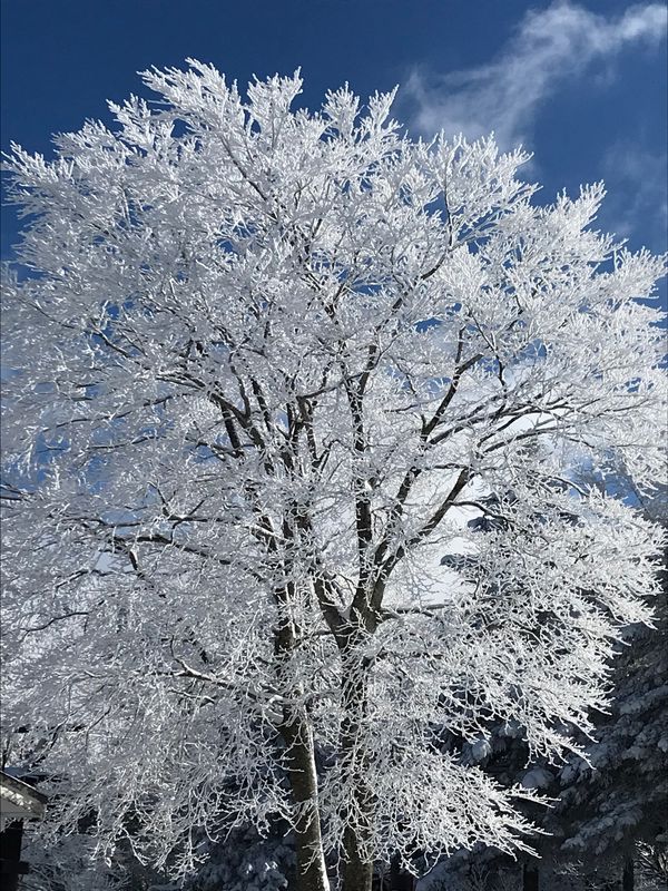 日本・山形県「蔵王」の写真