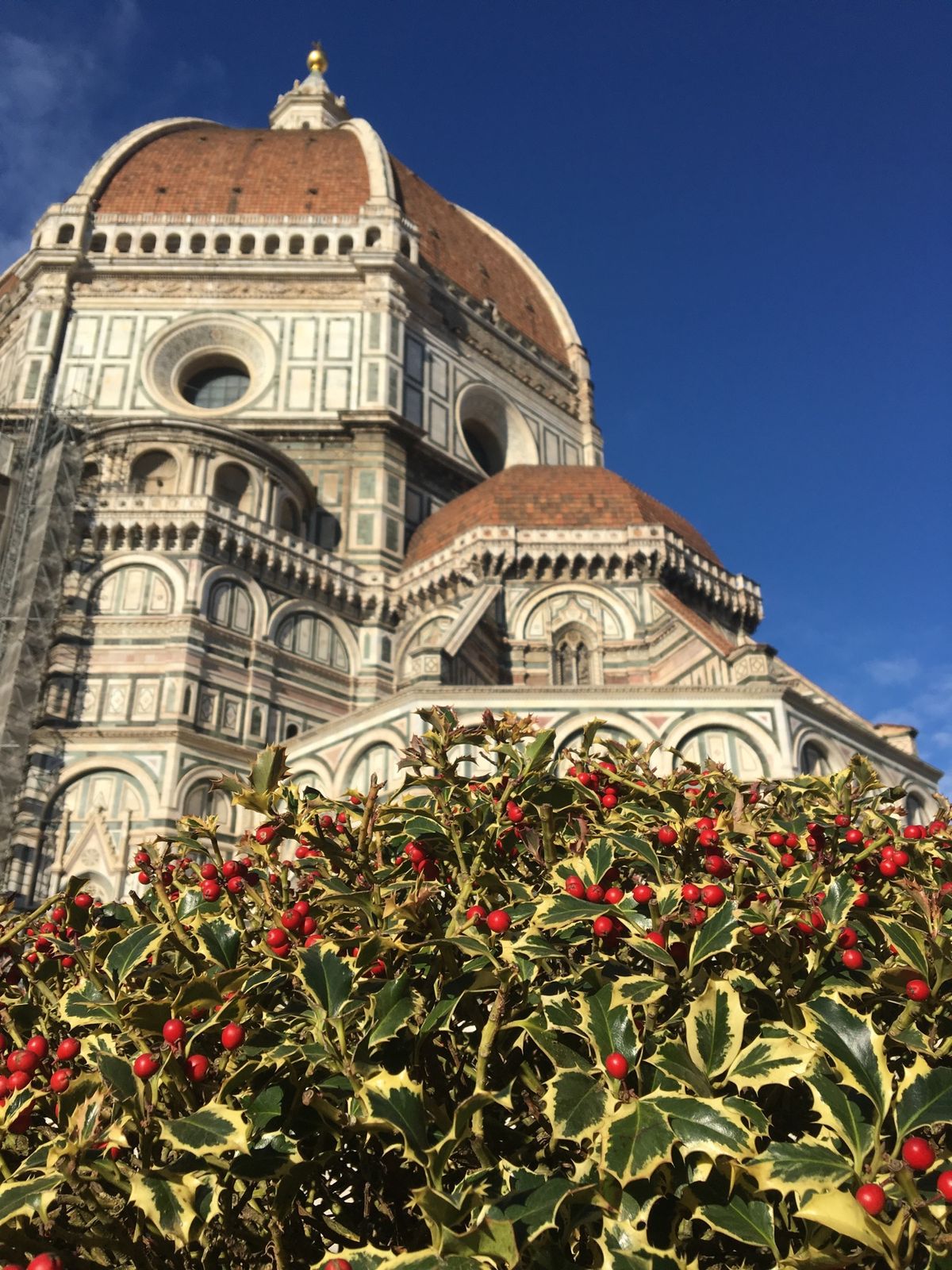 夫婦で行ったイタリア旅行3回目。フィレンツェを起点に、ボローニャ、トスカー...