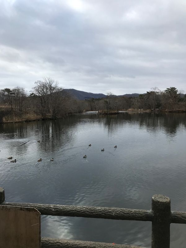 日本・函館「Travel to Hakodate」の写真