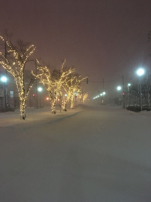 日本・函館「Travel to Hakodate」の写真