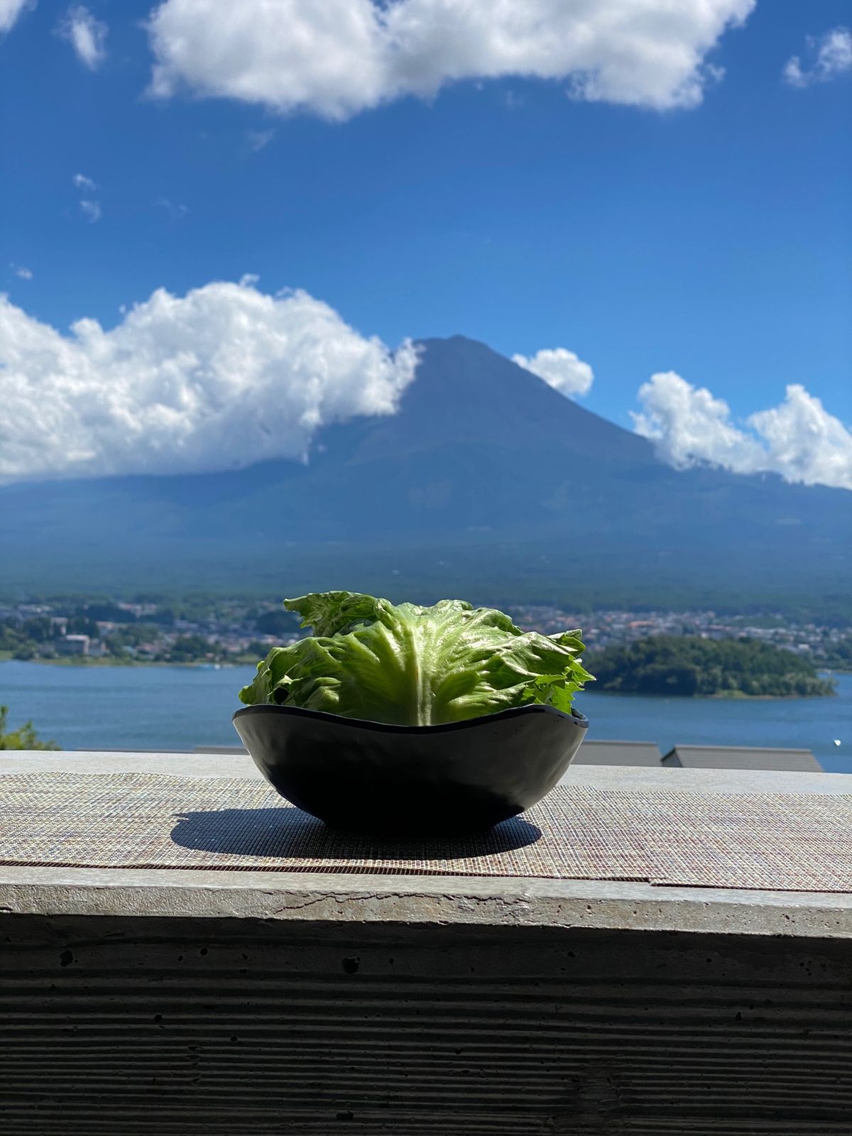お昼ご飯
ホテルから出ずに過ごす

シーザーサラダを頼んだら丸ごとレタス的...
