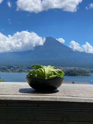 お昼ご飯
ホテルから出ずに過ごす

シーザーサラダを頼んだら丸ごとレタス的...