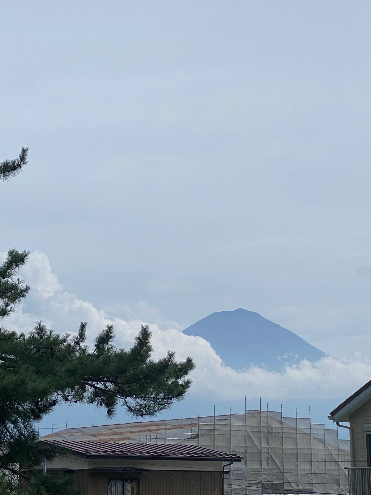 都内から3時間くらいかけてようやく星のや富士到着〜
渋滞してた〜