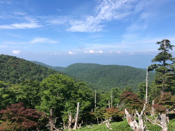 日本・奈良県「2020年・百名山大台ケ原ハイキング」の写真：奈良県と三重県の県境、近畿地方の最高峰大...